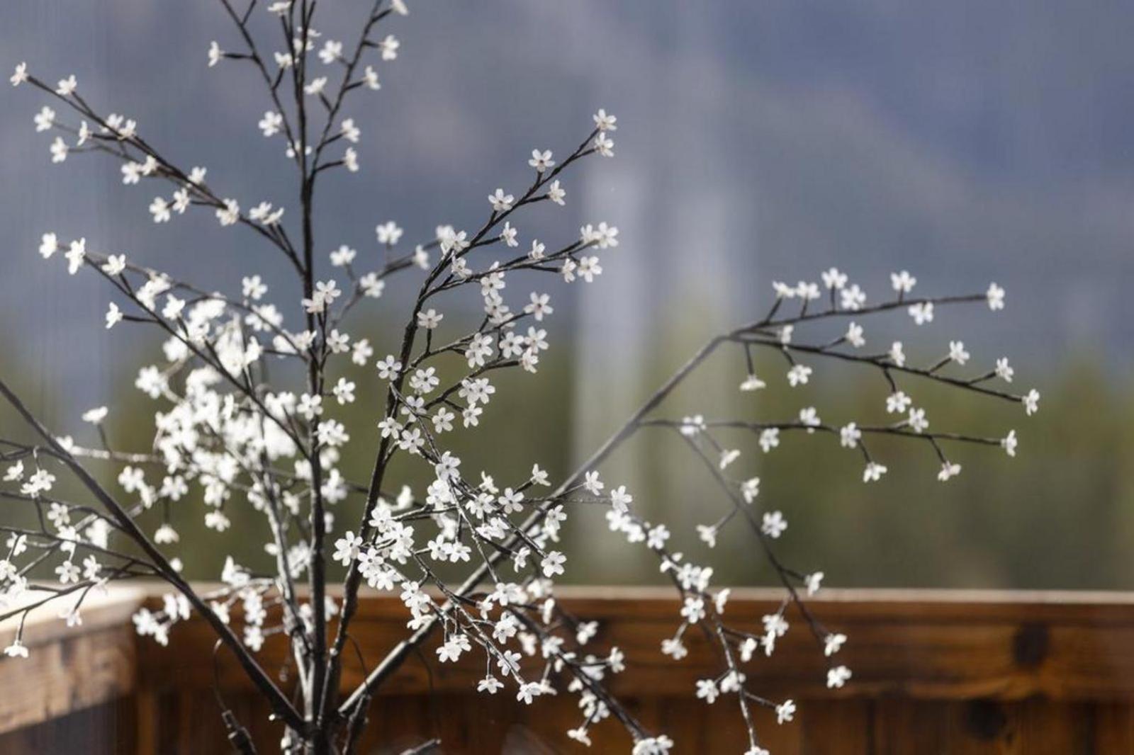Nationalpark Chalet Hoher Sonnblick Neukirchen am Großvenediger Екстериор снимка