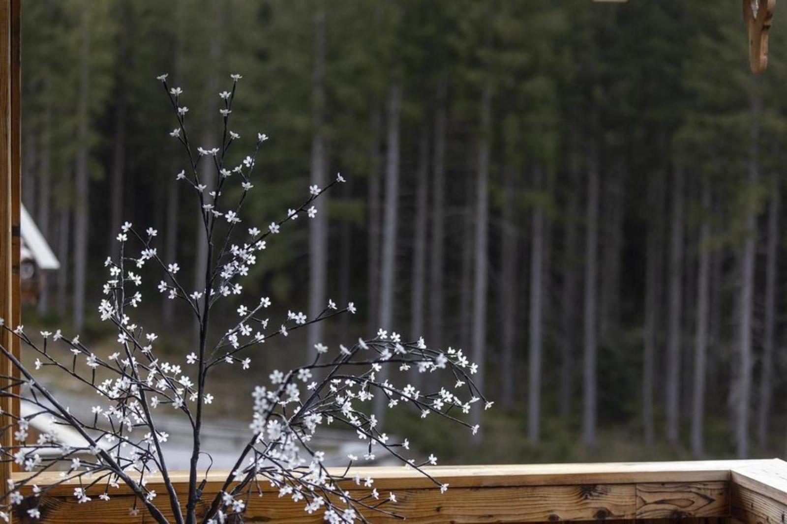 Nationalpark Chalet Hoher Sonnblick Neukirchen am Großvenediger Екстериор снимка